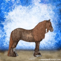 Horse Color:Gold Champagne Ice Rabicano