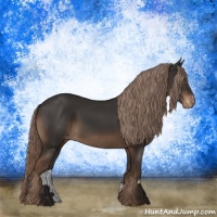 Horse Color:Liver Chestnut Appaloosa 