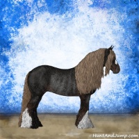 Horse Color:Liver Chestnut Ice Rabicano 