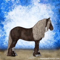 Horse Color:Liver Chestnut Ice Rabicano 