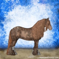 Horse Color:Gold Champagne Ice Rabicano 