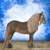 Horse Color:Chocolate Palomino 