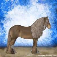 Horse Color:Chocolate Palomino Appaloosa 