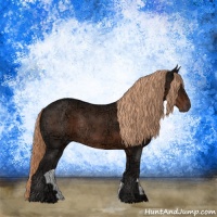 Horse Color:Liver Chestnut Ice Rabicano 
