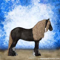 Horse Color:Liver Chestnut Ice Rabicano