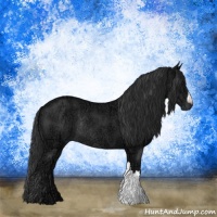 Horse Color:Liver Chestnut Ice Rabicano