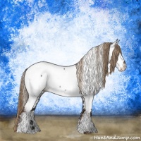 Horse Color:Liver Chestnut Appaloosa Rabicano 