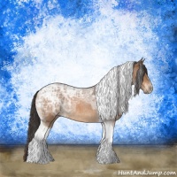 Horse Color:Buckskin Ice Roan Tobiano Rabicano