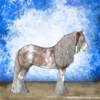 Horse Color:White Spotted Silver Bay Ice Tobiano Rabicano