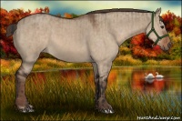 Horse Color:Brown Dun  and Liver Red Dun 