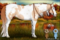 Horse Color:White Spotted Buckskin Pearl Splash Tobiano Rabicano