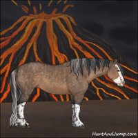 Horse Color:Silver Brown Dun and Brown Dun Splash
