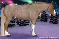 Horse Color:Gray Red Roan Splash Tobiano 