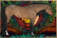 Horse Color:Brown Dun and Gray Brown Dun