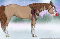 Horse Color:Red Dun Splash 