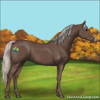 Horse Color:Silver Black 
