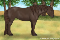 Horse Color:Liver Chestnut  and Liver Chestnut 