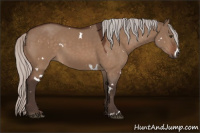 Horse Color:White Spotted Silver Brown Dun