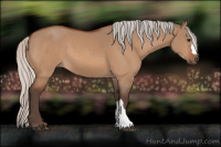 Horse Color:Silver Bay Dun