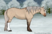Horse Color:Silver Bay Dun 