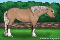 Horse Color:Silver Bay Dun