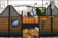 Horse Color:Amber Champagne Roan Dun Tobiano 