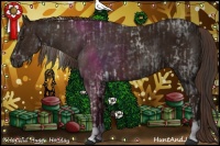 Horse Color:Liver Chestnut Tobiano  and Liver Chestnut 