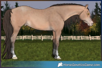Horse Color:Amber Champagne Tobiano 