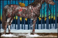 Horse Color:Liver Chestnut  and Liver Chestnut 