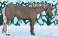 Horse Color:Silver Black 