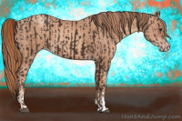 Horse Color:Liver Chestnut  and Gold Champagne 