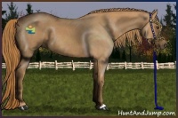 Horse Color:Red Roan 