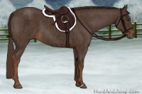 Horse Color:Liver Chestnut  and Liver Red Roan 