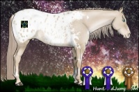 Horse Color:White Spotted Chocolate Palomino Pearl Dun Sabino Appaloosa 