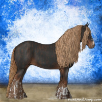 Horse Color:Liver Chestnut  and Gray Liver Chestnut 