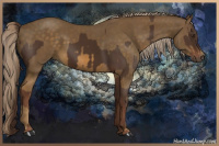 Horse Color:Liver Chestnut  and Chocolate Palomino 