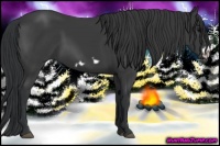 Horse Color:Black Frame 