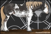 Horse Color:Liver Chestnut Sabino Splash Rabicano 