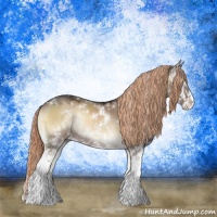 Horse Color:Liver Red Dun Onyx Sabino Splash Rabicano