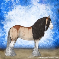 Horse Color:Brown Dun Splash Rabicano Brindle 