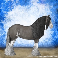 Horse Color:Grullo Sabino Splash Rabicano Brindle