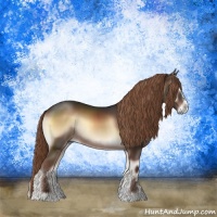 Horse Color:Liver Red Onyx Sabino Rabicano 