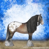 Horse Color:Brown Dun Sabino Splash Blanket Rabicano 
