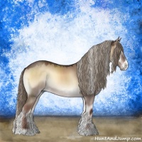 Horse Color:Liver Red Dun Onyx Sabino Rabicano