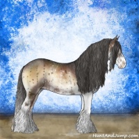 Horse Color:Liver Red Onyx Sabino Rabicano 