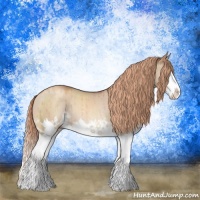 Horse Color:Gold Champagne Dun Sabino Splash Rabicano Brindle