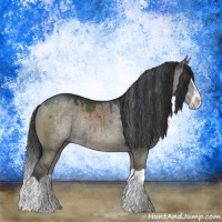 Horse Color:Grullo Splash Rabicano Brindle 