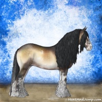 Horse Color:Brown Onyx Sabino Rabicano 