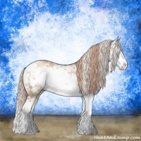 Horse Color:Gold Champagne Dun Sabino Splash Rabicano Brindle