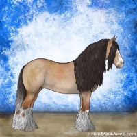 Horse Color:Brown Dun Splash Rabicano Brindle 